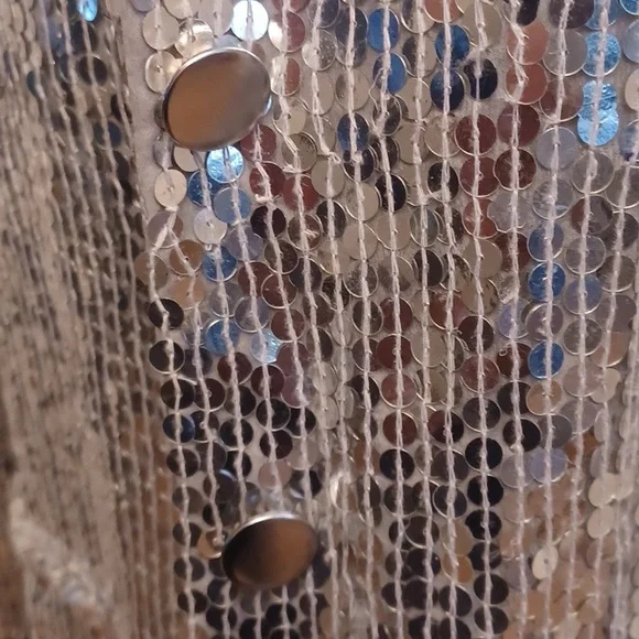 Silver Sequin Jacket - Picture 3 of 6